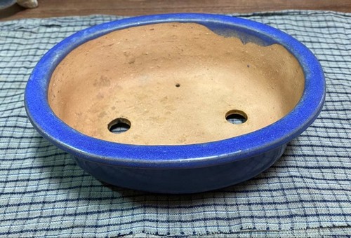 Glasierte bonsai schale blau - glasierte, bonsai-schale