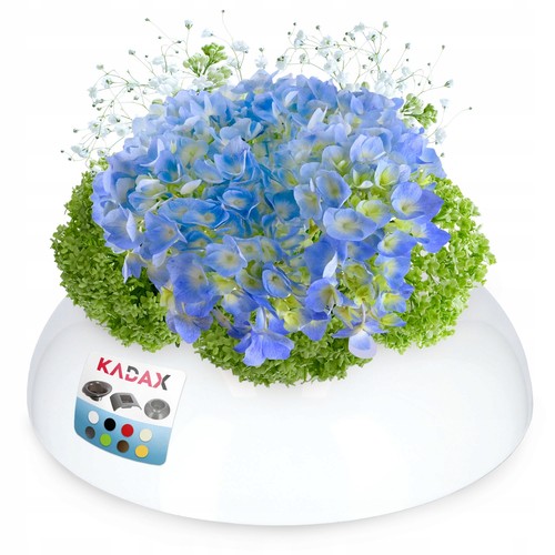 Kadax ikebana aus - kadax,